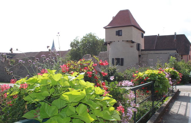 S'harzala Vert - Foto 1