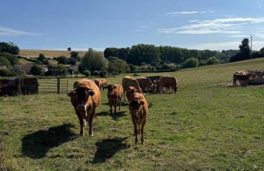 la vallée du paradis studio avec balnéothérapie en campagne - Foto 33