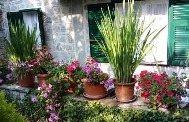 casa Sylviane - Foto 26