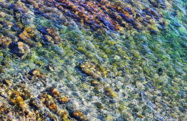 Caseta de pescadors a les cales de Colera, 2ª linea de mar - Foto 42