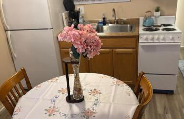 A2 Studio, Mins to Downtown, UofM, Hospitals, Restaurants & Stadium - Foto 18