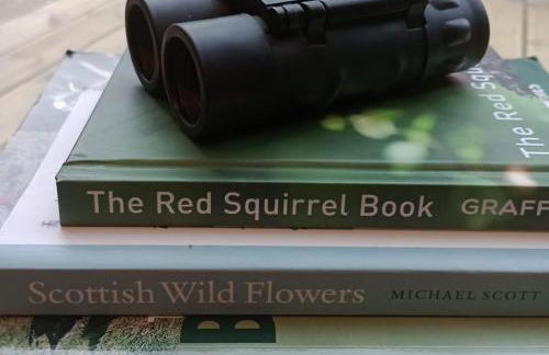 True North Lodge - A cosy wee highland Getaway - Photo 34