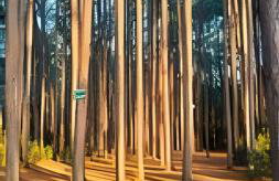 Casa Perto das melhores praias Florianópolis, 8 pessoas, ar condicionado, tv, wifi, cozinha completa, lavanderia, - Foto 54