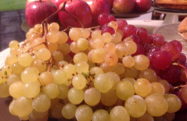 Agriturismo Monaci Templari - Photo 29