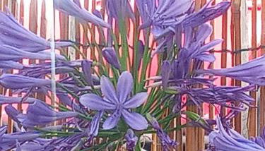 La casa di Anna - Foto 3