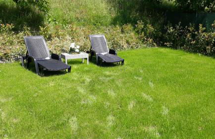 Casa Gina Garden and view by Gardadomusmea - Foto 47