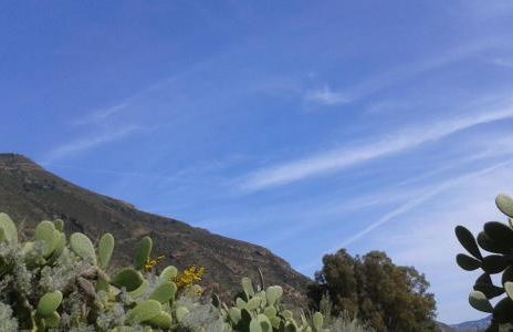 la casa di titti e jack - Foto 44