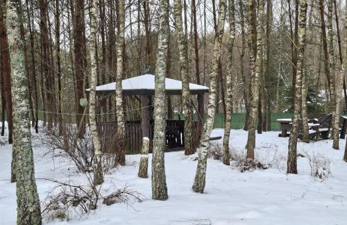 Leśny Zakątek Lipinki Bory Tucholskie - sauna - Foto 40