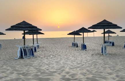 Casa do Medronheiro - Foto 40