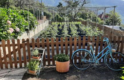 Ca' De Angiolina - Foto 47