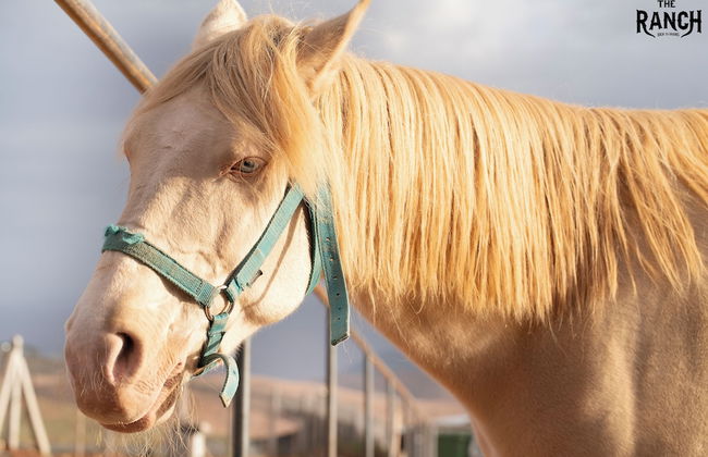 The Ranch resort - Photo 69