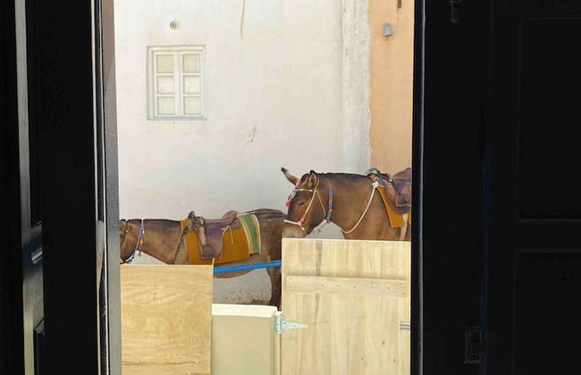 Firaoldport Caldera Sea & Volcano View - 2 Joined Houses - Photo 27