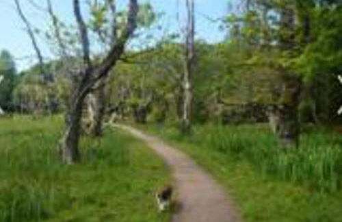 Caravan - Sleeps 4 - Pet Friendly - Parking - Foto 7