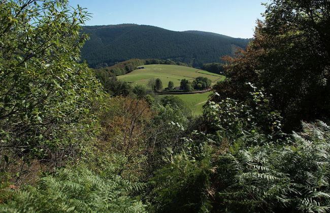 Unique Holiday Home in Saint-honore-les-bains With Garden - Foto 77
