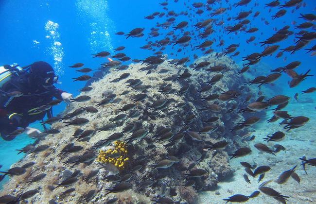 Apartments Bikin - Foto 69