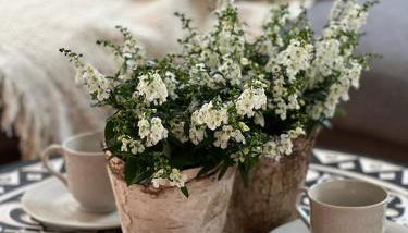 Apartments Bouchon - Foto 2