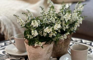 Apartments Bouchon - Foto 2