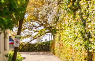 Elegant Spacious Prvt Studio Upscale Berkeley - Photo 12