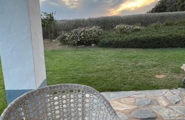 Monte do Pombal - Foto 10