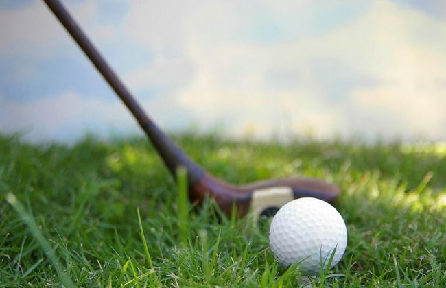 Sandringham II - Photo 16