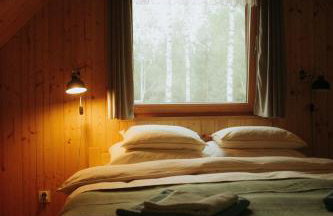 Miło las widzieć - Foto 16