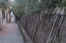 Apartamento Marea - Foto 71