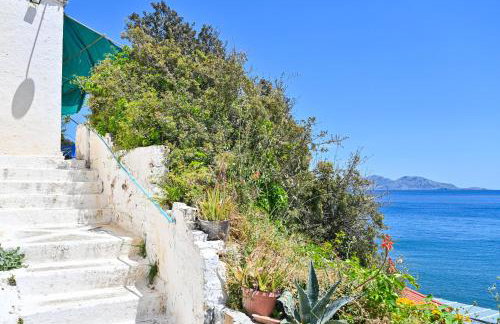 Ikaria Therma Blue - Photo 73