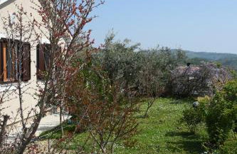 Villa Sofia - Foto 32