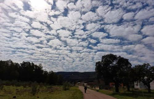 CASA RURAL LA HOJA EL VALLE - Foto 40