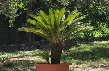 L'Ulivo in Villa Greco - Foto 42