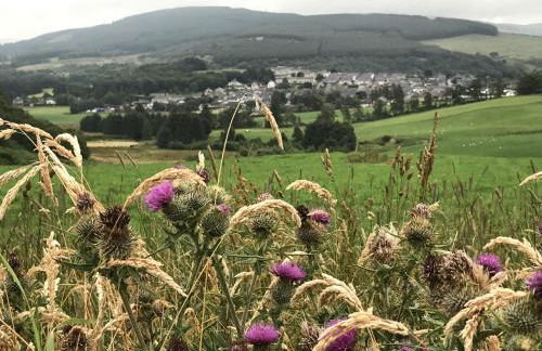 Hillside Havens - Foto 37