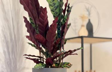 Rebenblick Ferienwohnung an der Weinstraße - Foto 15