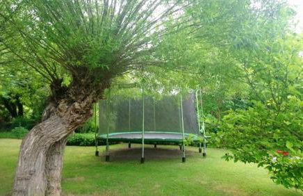 Ferienwohnung Teschow - Foto 19