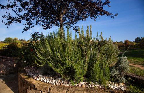 Le Stanze di Bacco - Photo 40