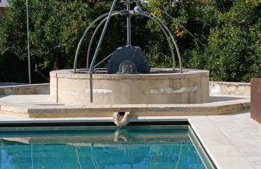 Jardim de Copas - Foto 26