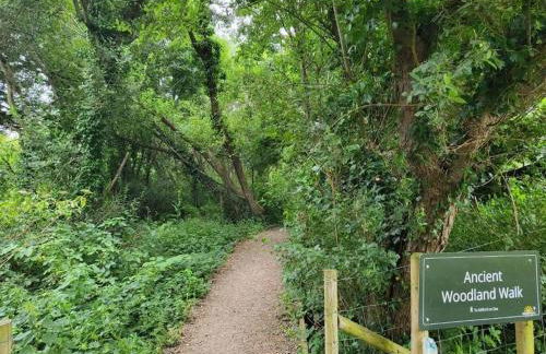 Cosy cabin in Milford on Sea Full Passes included - Foto 32