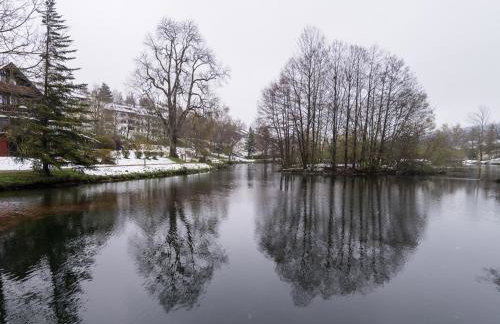 Ferienwohnungen Seeblick - Foto 17