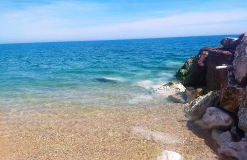 stella marina - Foto 21