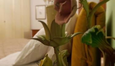 Moncalvo in Relax - Foto 4