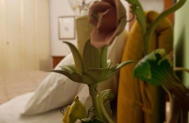 Moncalvo in Relax - Foto 4