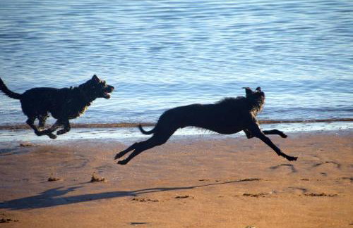 Bridgend Cottage, Auchencairn, Castle Douglas - Foto 30