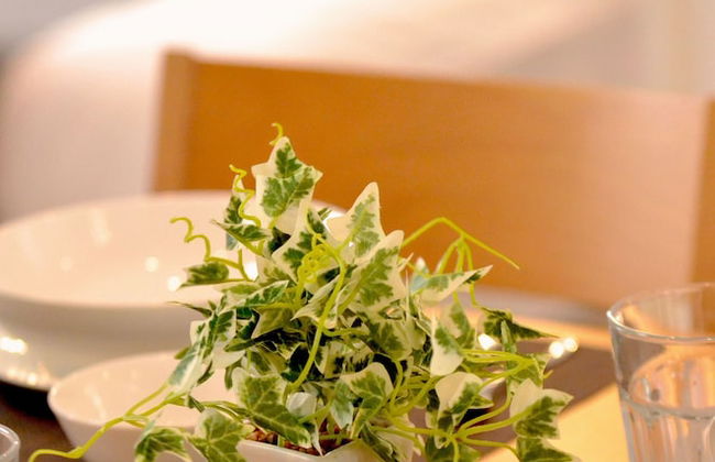 Purple House - Foto 11