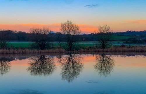 Lake View Yurts - Photo 14