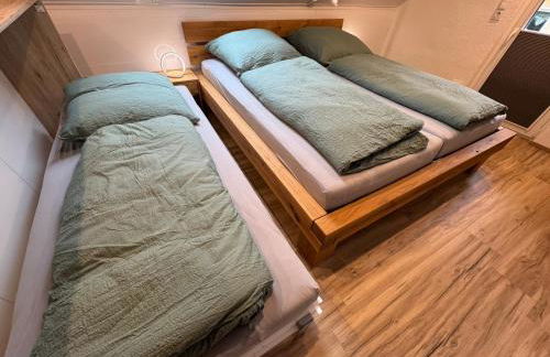 Siebenschläfer - Photo 8