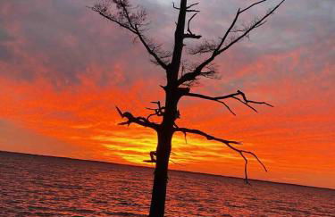 Soundside, canalfront Outer Banks house near ocean - Foto 36