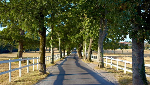 Lipica Horse Farm & Škocjan Caves Tour - Foto 4