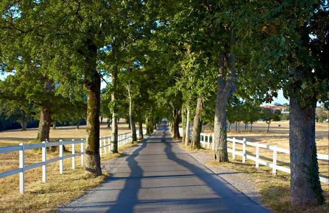 Excursion à Lipica et aux grottes de Skocjan - Photo 4