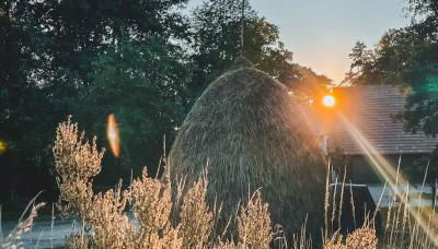 Vierseitenhof Appartements - Foto 4