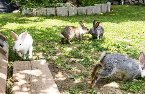 Villa Silvija - Foto 36