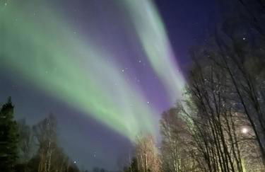 talkeetna villas and tours - Foto 23